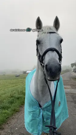 In meinem Herz 🤍🫰🏼