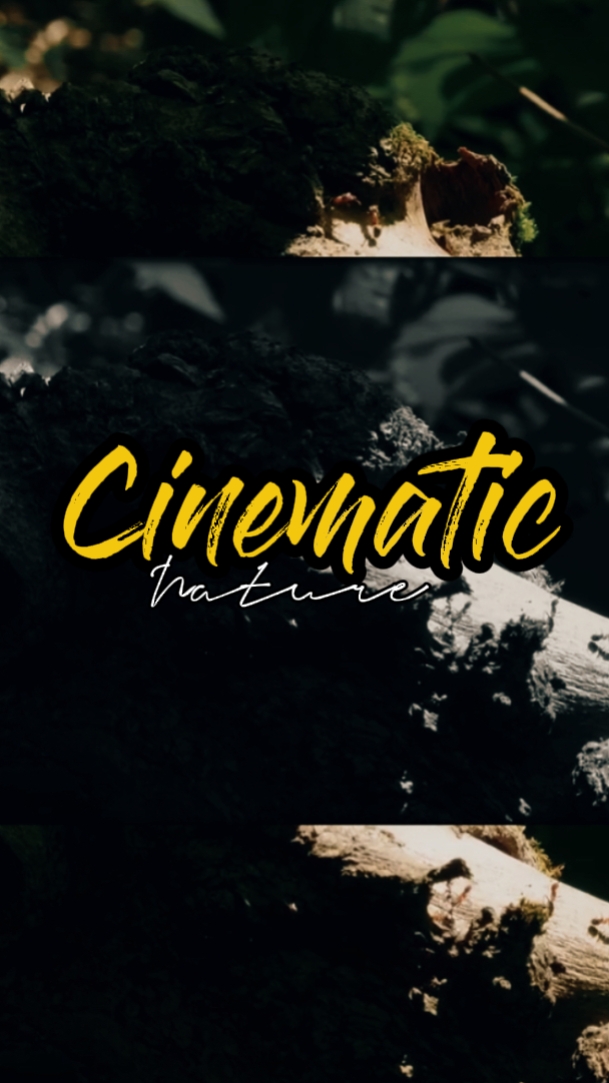 Natureza cinematográfica 