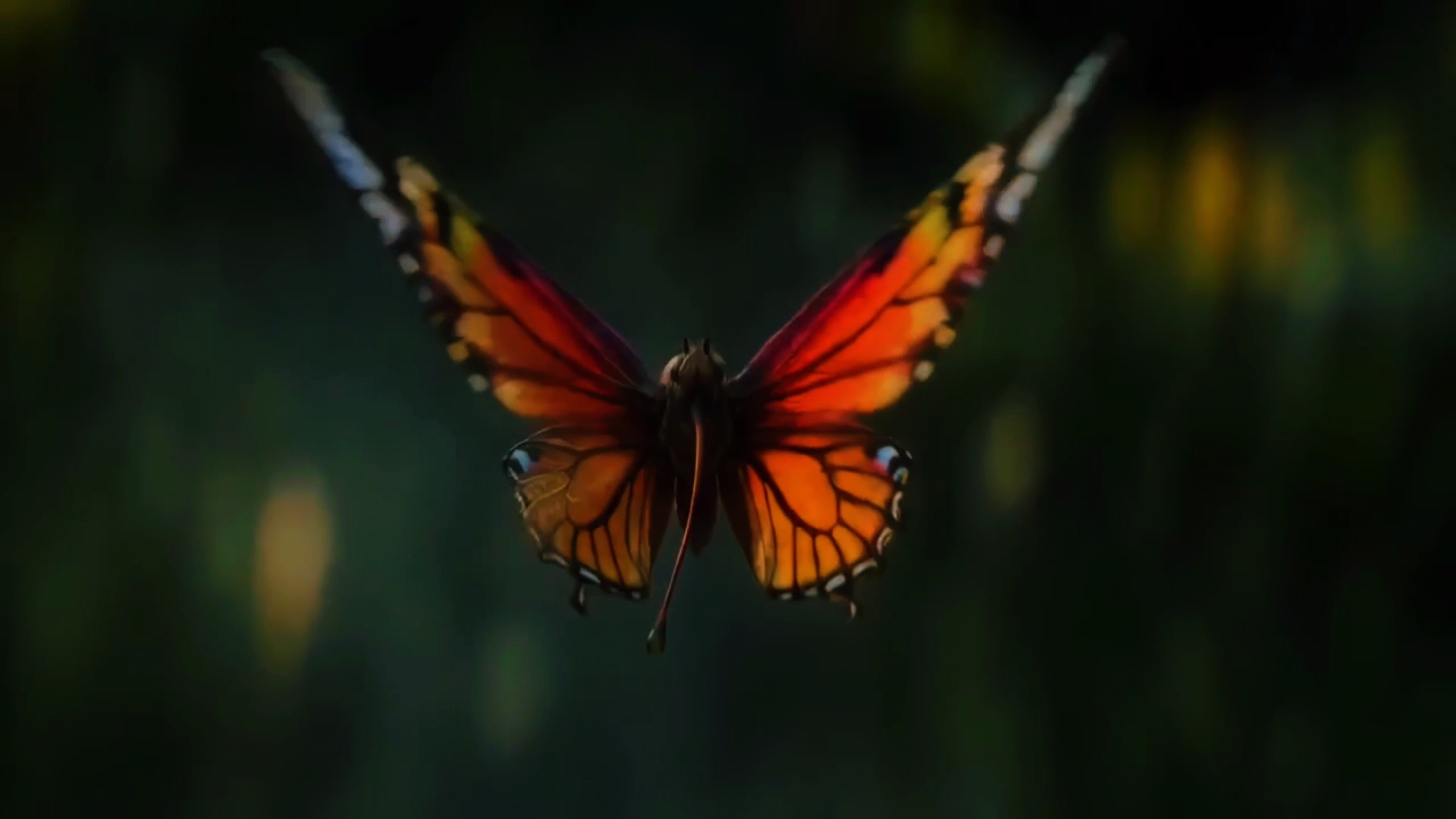 Vida de mariposa