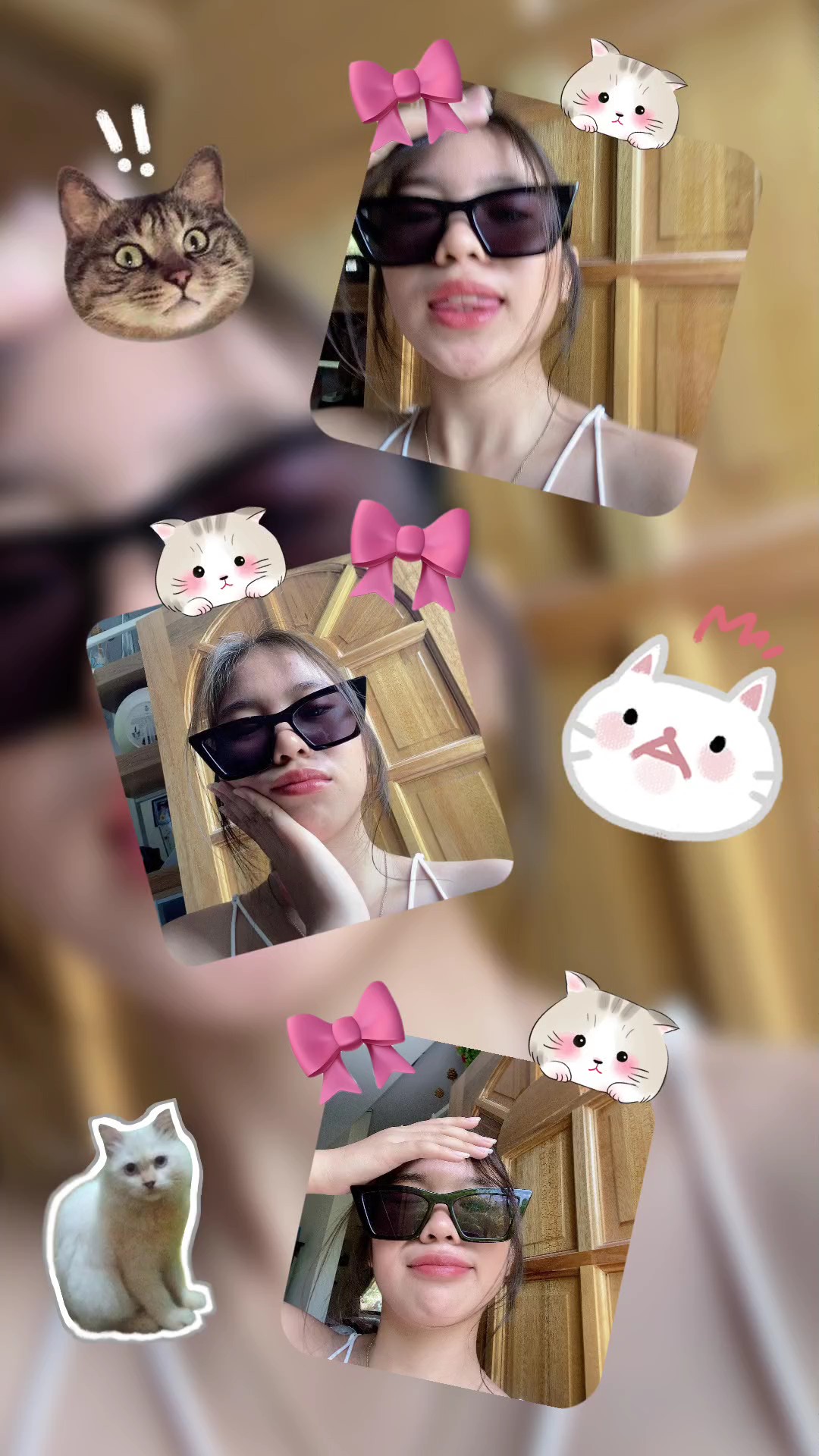 cat lover