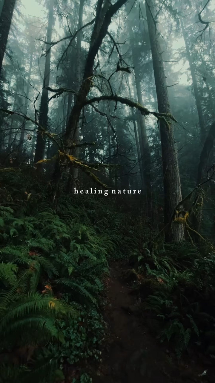 Healing Nature