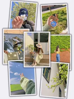 19 Photos Transition