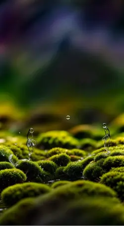 Water wallpaper