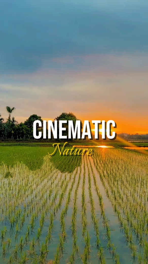 kalikasan ng cinematic