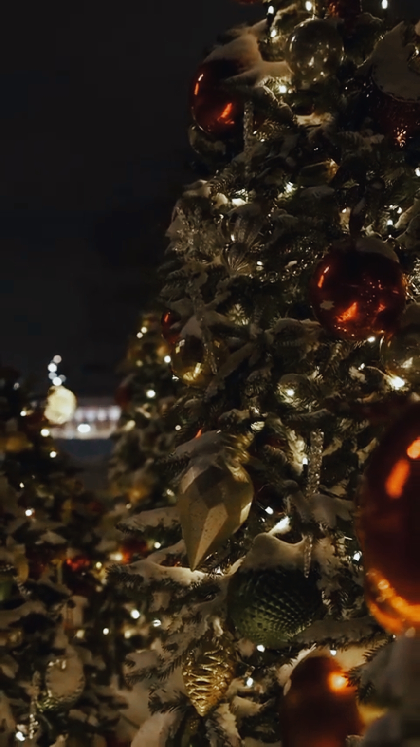 NATAL