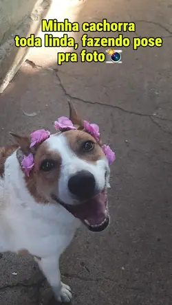 Minha cachorra diva!