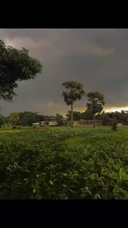 বৃষ্টি 