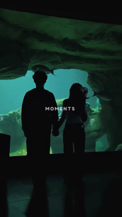 MOMENTE 