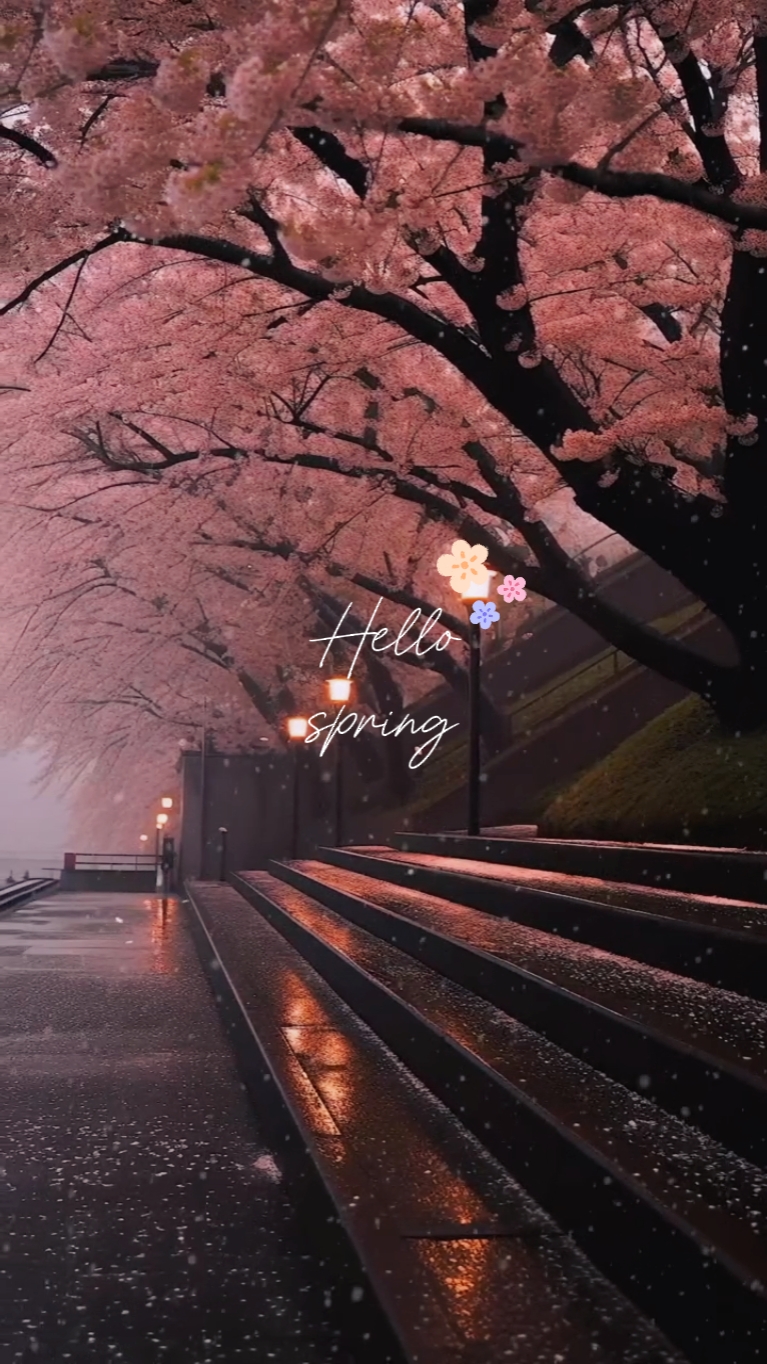 hello spring