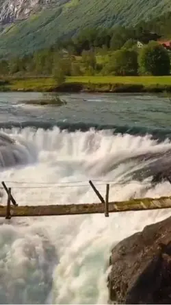 韩宝仪 han bao yi 