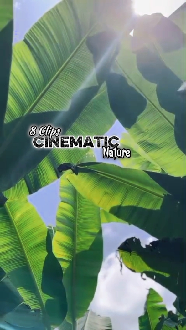8 Clips Cinemáticos 