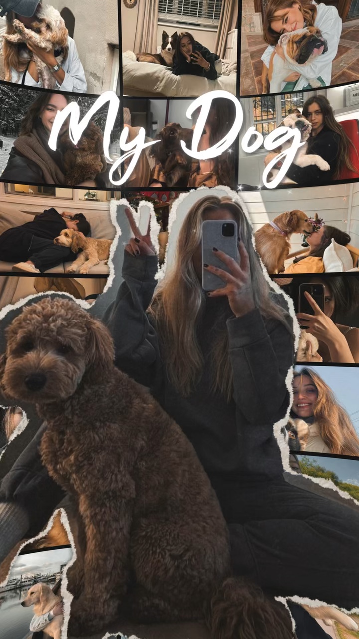 My Dog 