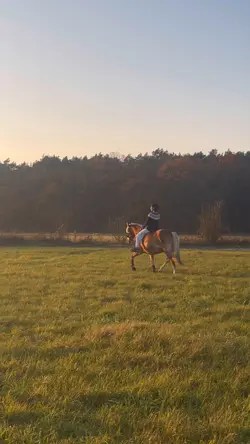 Felt Like Heaven🥹🫶