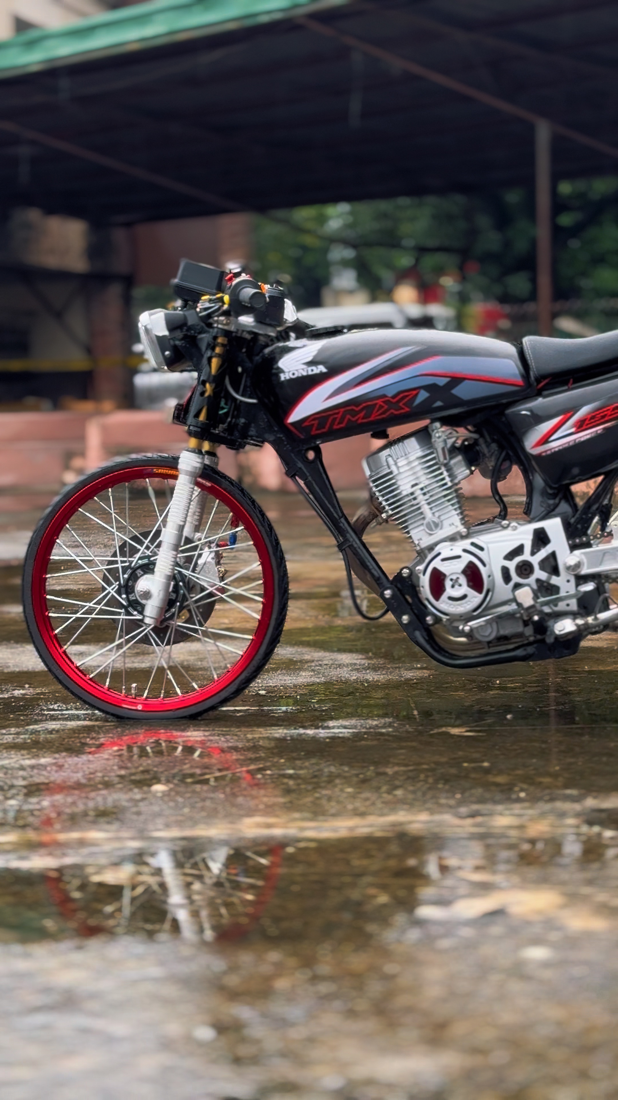 Cover Picture