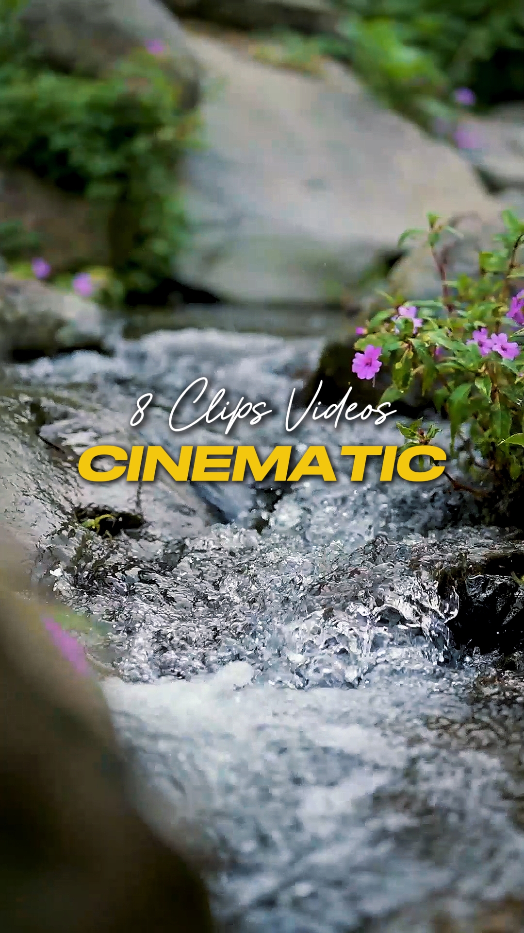 8 Videos Cinemáticos