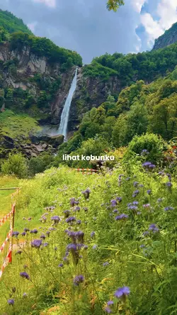 Lihat kebunku