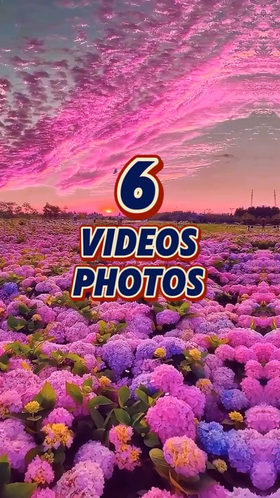6 videos o fotos 