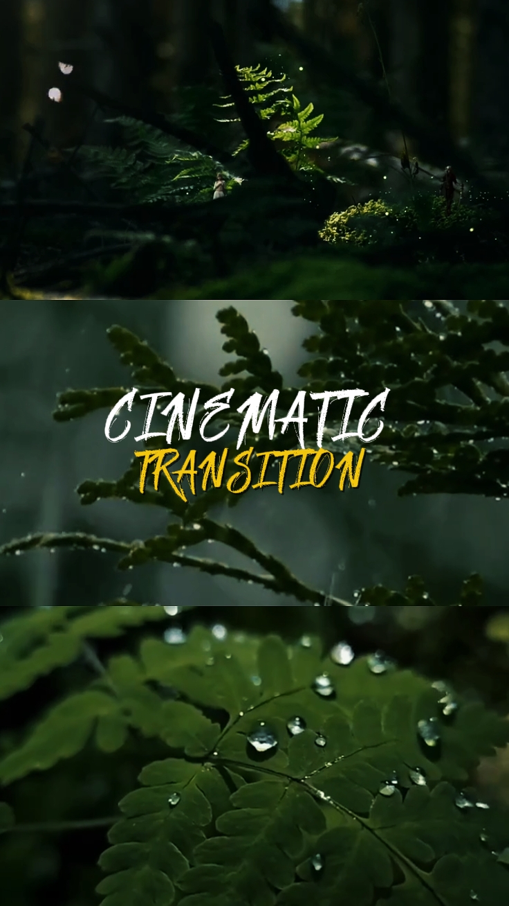 TRANSITION CINÉMATIQUE