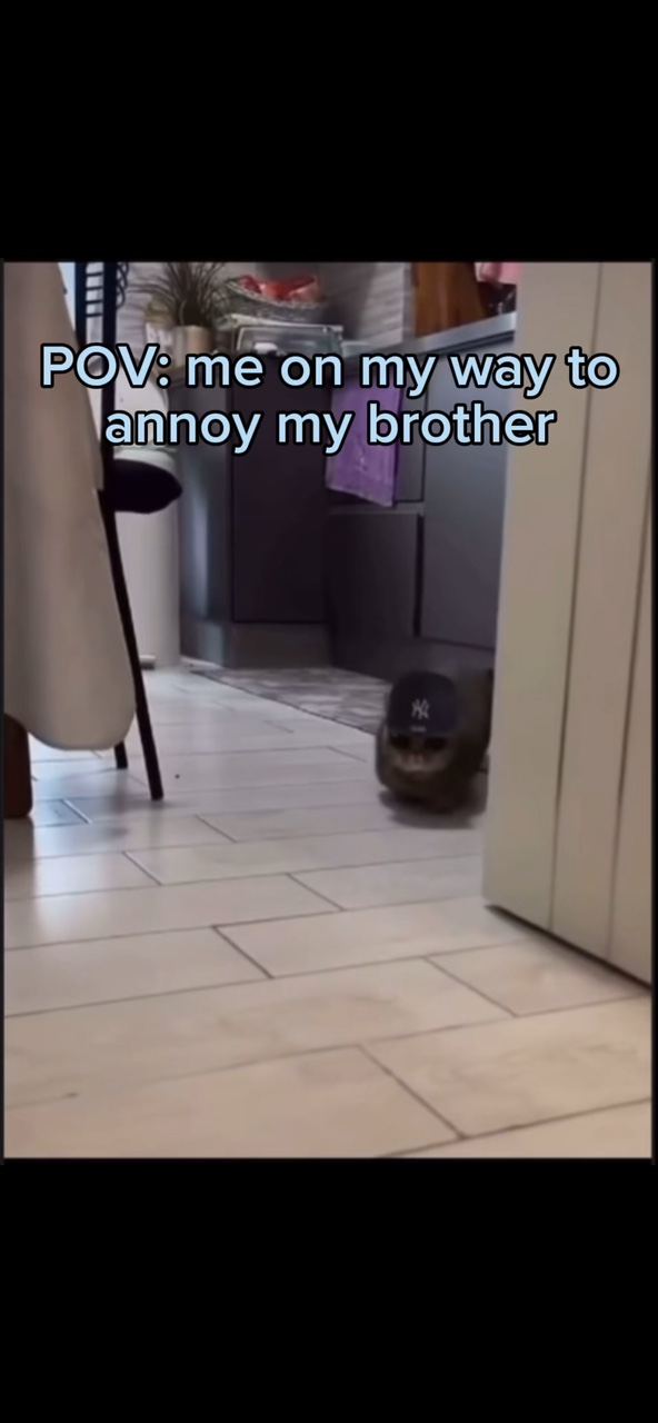 Brothers 🙄