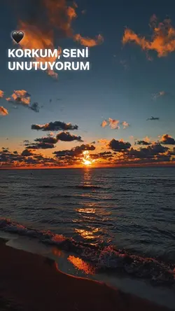 Yeni Şablon 