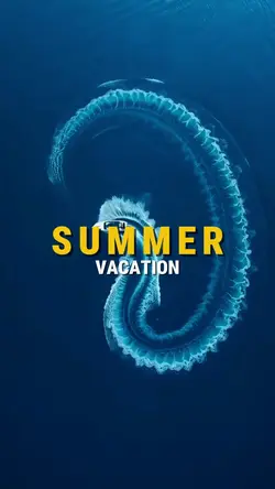 summer vacation