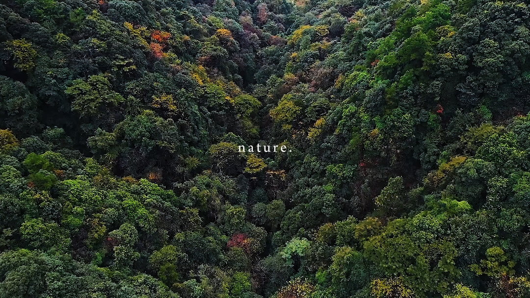 Nature
