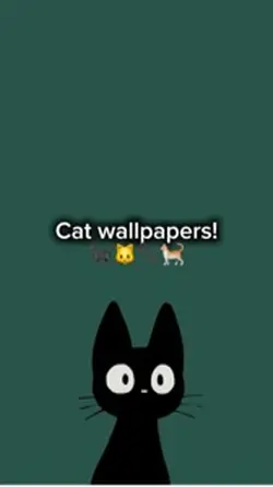 Cat wallpapers!