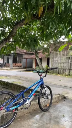 sepeda