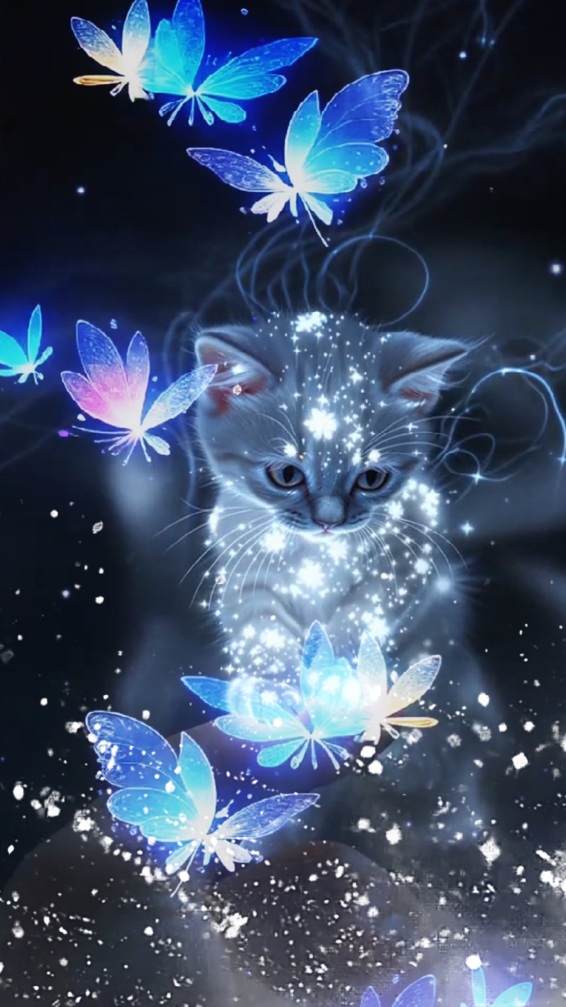Effet papillon 41