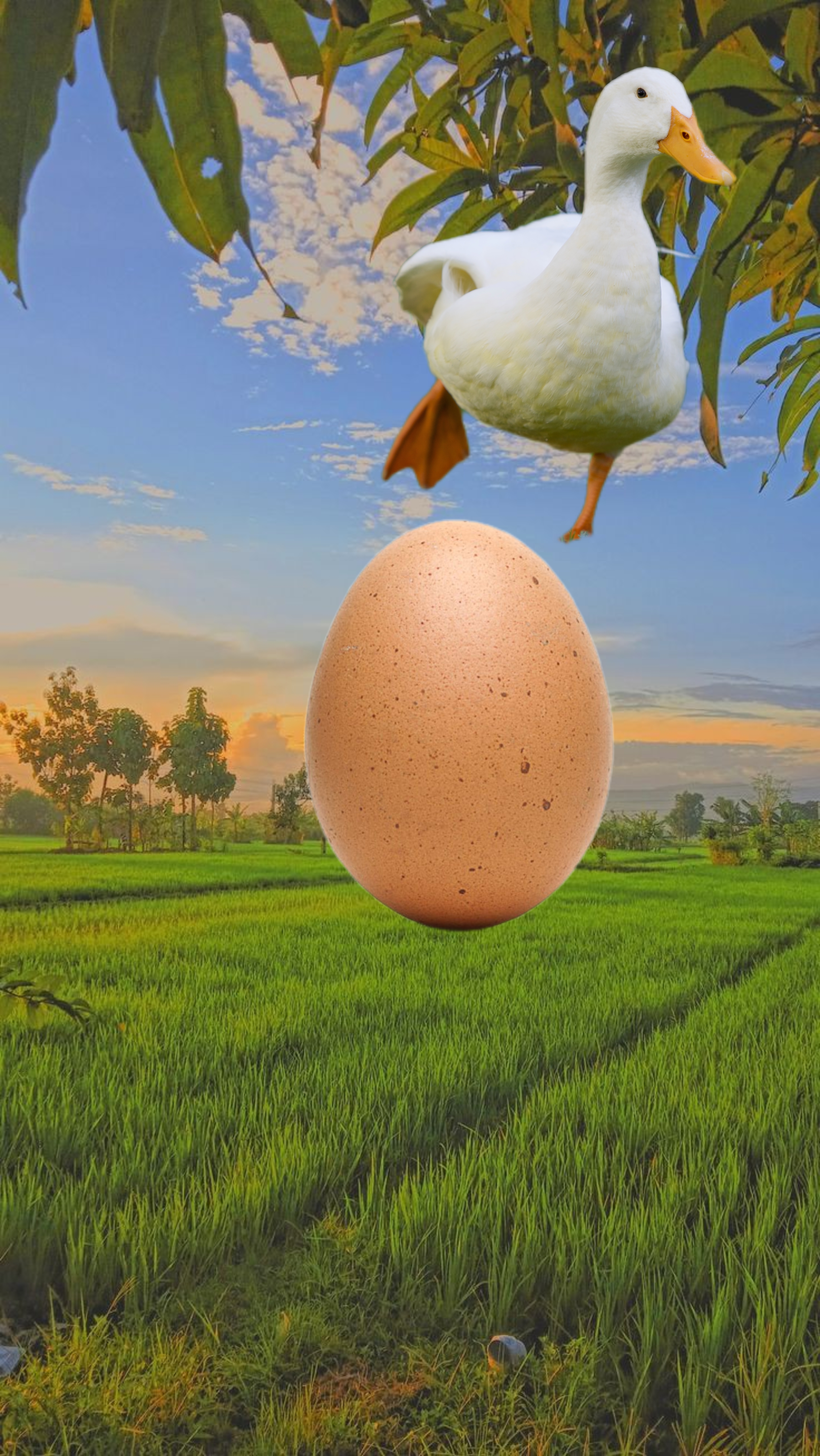 komik doğum günün kutlu olsun