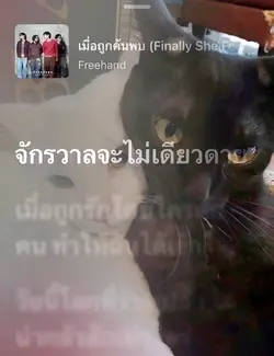 เพลงเมื่อถูกค้นพบ