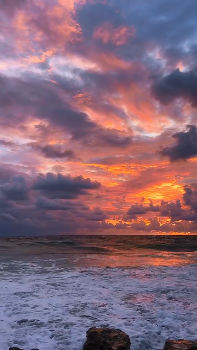 6 clips 