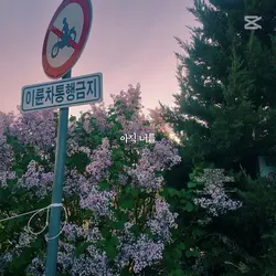 사용해서 봐주세요