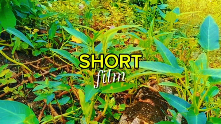 Cortometraje