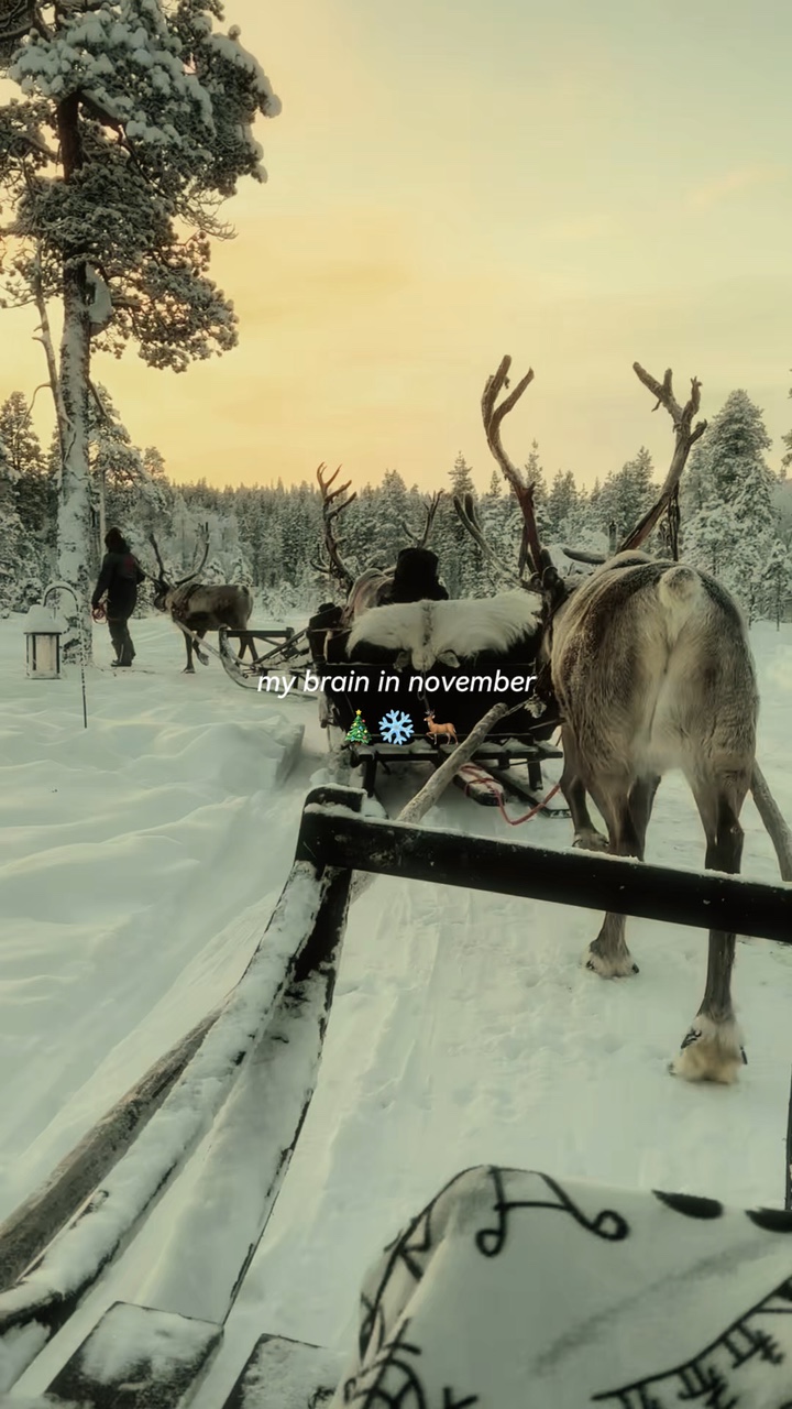 Kış 🎄❄️❄️