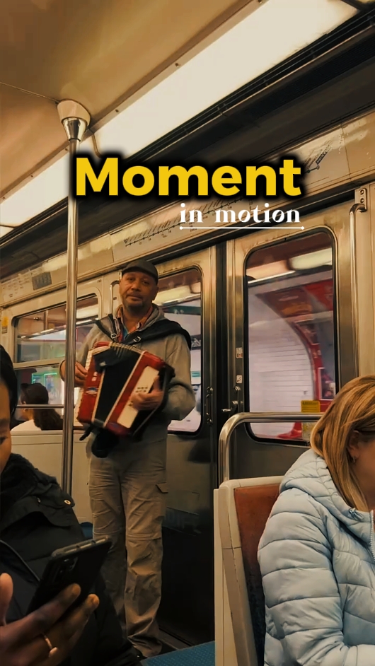 moment in motion 