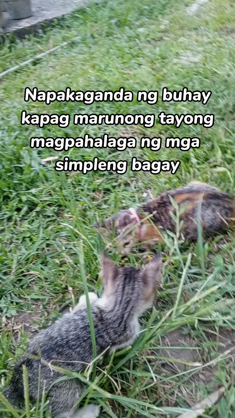 Napakaganda ng buhay