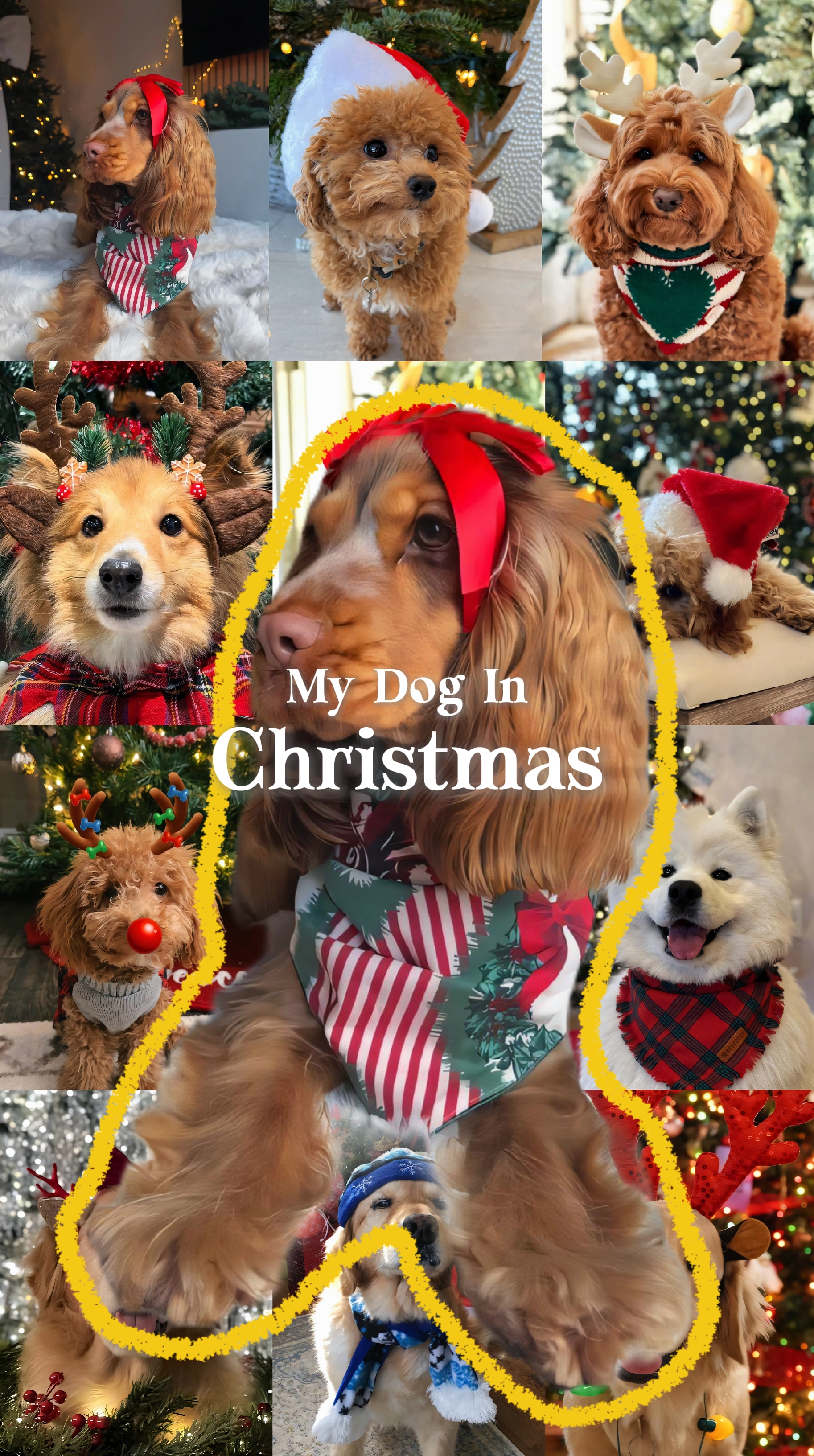 Mascota En Navidad