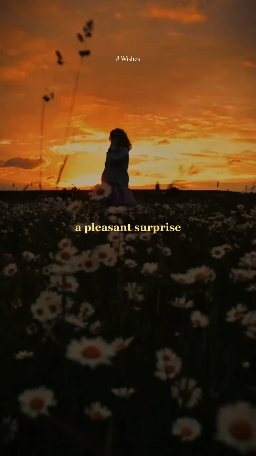 Wishes in August 