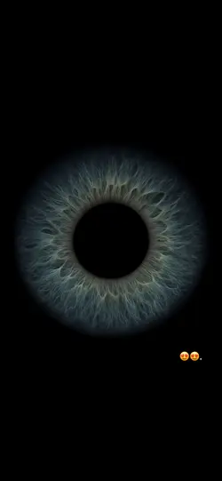 Auge