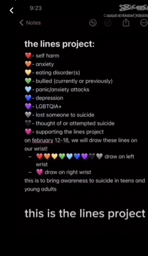 the lines project🤍