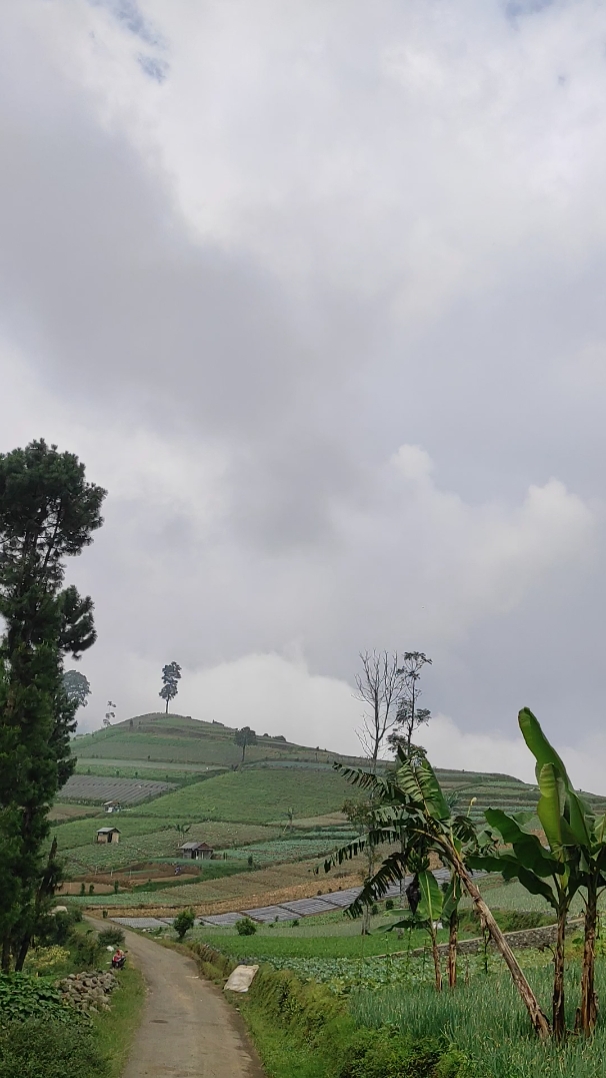 5 video 1 menit