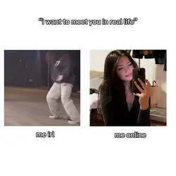 me irl vs online 