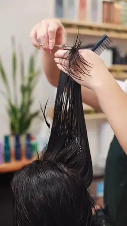 HairCut salon hair