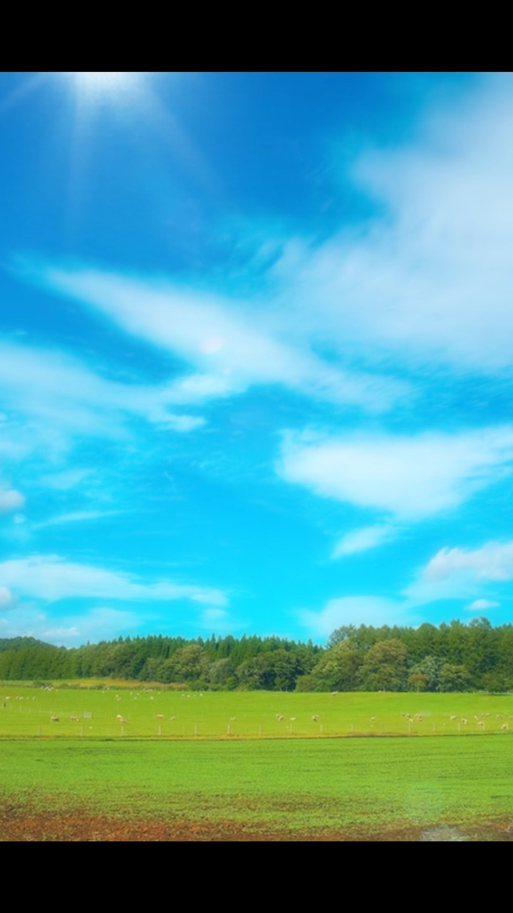 ガンバレ!~夢に向かって~