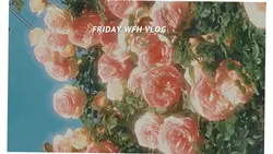 Vlog