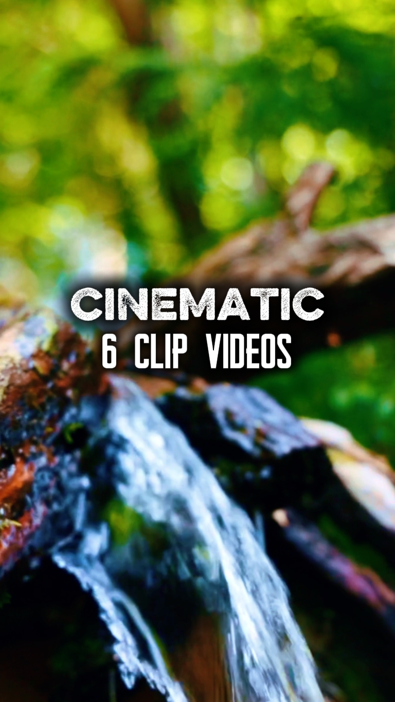 6 clip videos