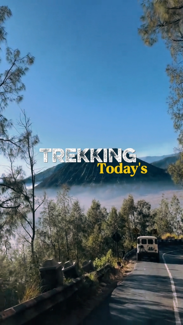 ACTIVIDAD DE TREKKING 