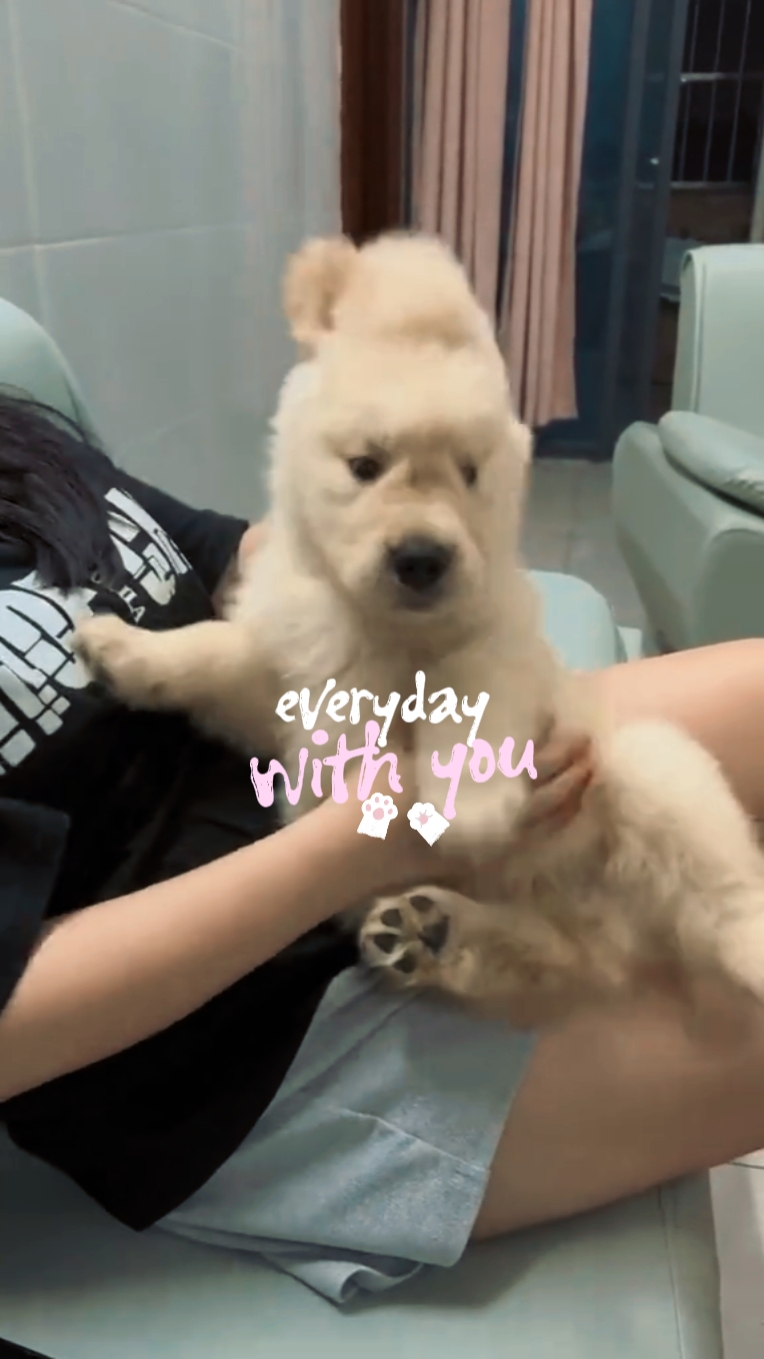 everyday with you 
