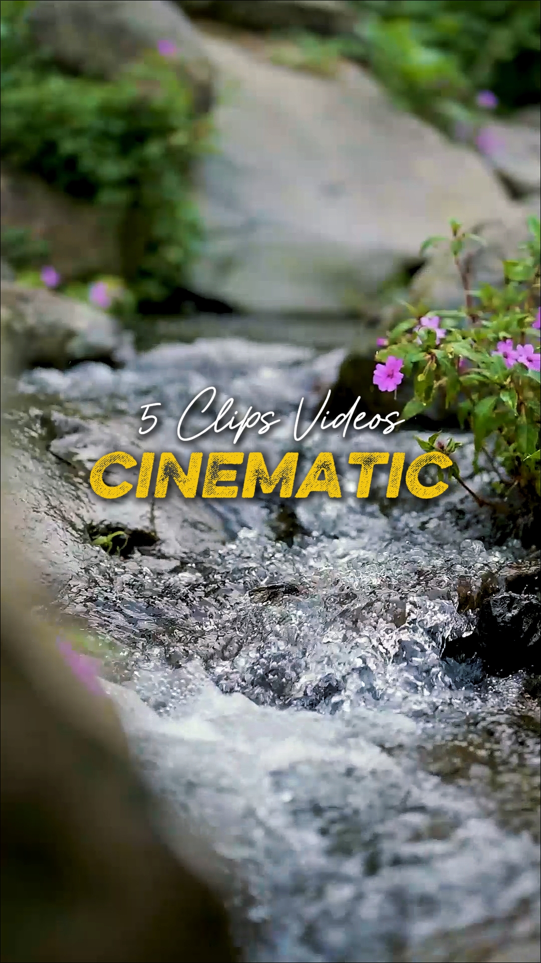 Cinématique 6 Vidéos